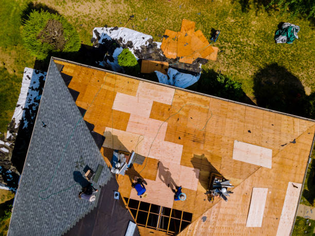 Best Roof Repair Services  in Hayfield, VA
