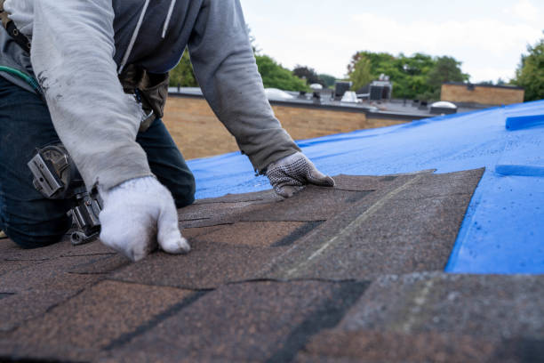 Trusted Hayfield, VA Roofing Contractor Experts