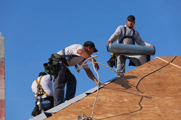 Best Best Roofing Contractors  in Hayfield, VA