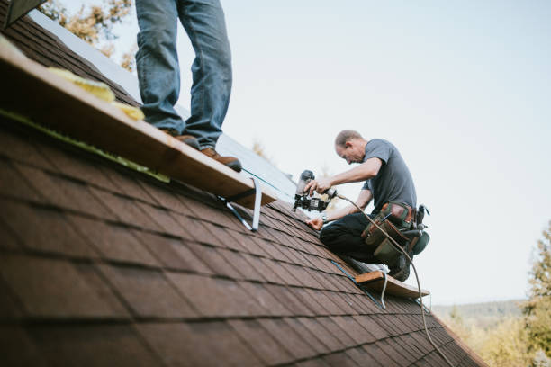 Best Metal Roofing Contractor  in Hayfield, VA