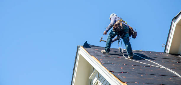 Best Flat Roof Repair Services  in Hayfield, VA